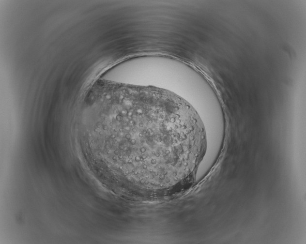 X0000114430145200911061650