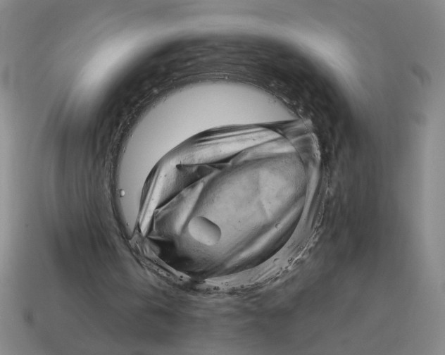 X0000114430146200911061650