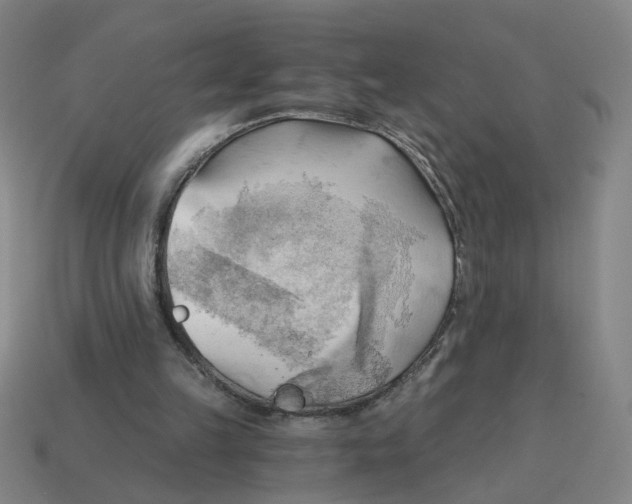 X0000114430149200911061650