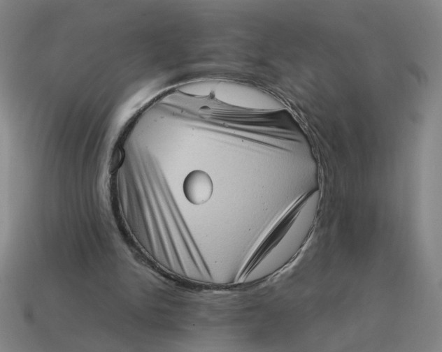 X0000114430150200911061650
