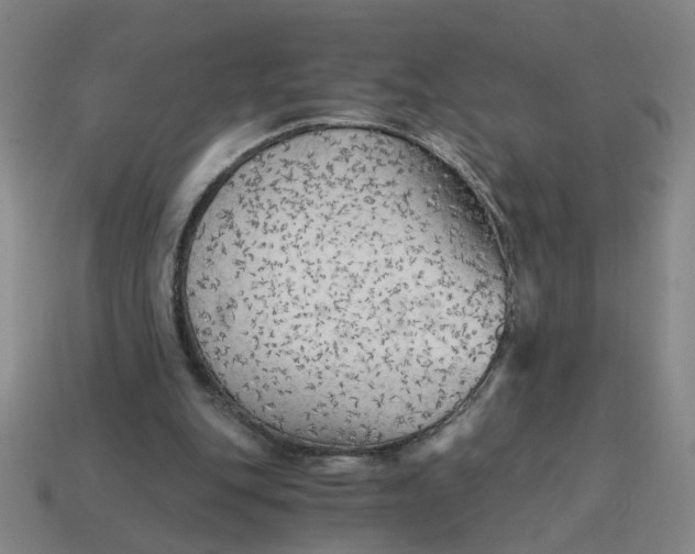 X0000114430151200911061650