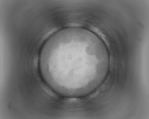 X0000114430153200911061650