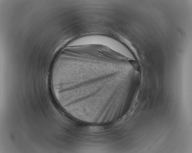 X0000114430154200911061650