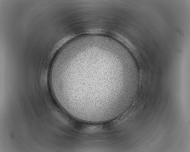 X0000114430155200911061650