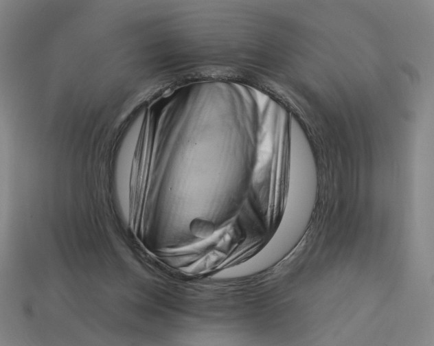 X0000114430158200911061650