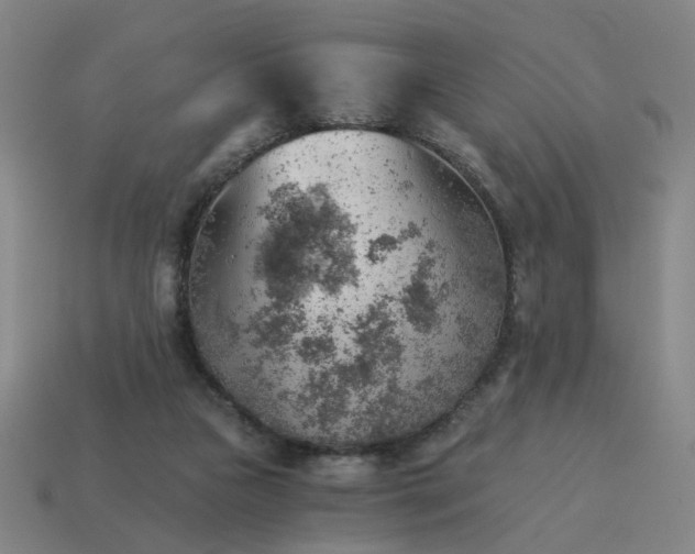 X0000114430161200911061650