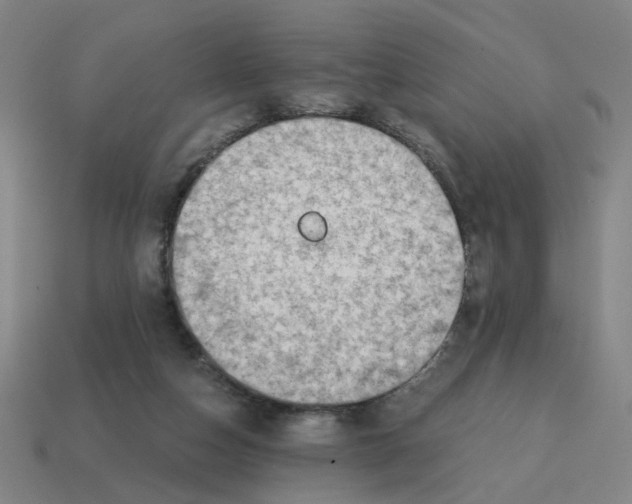 X0000114430162200911061650