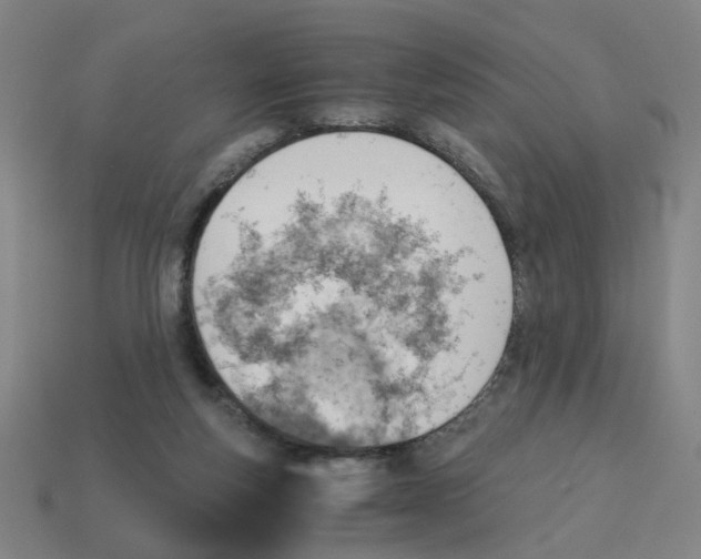 X0000114430163200911061650