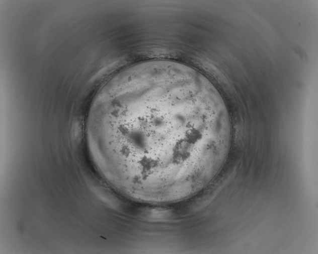 X0000114430165200911061650