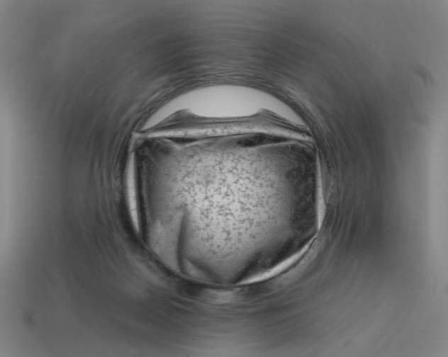 X0000114430170200911061650