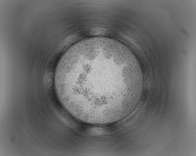 X0000114430171200911061650