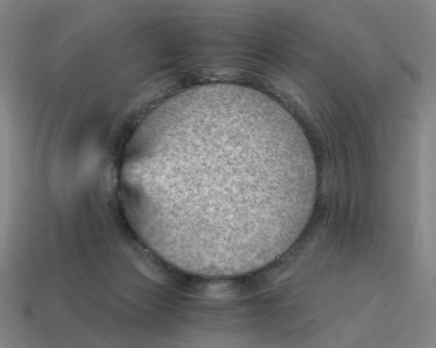 X0000114430173200911061650