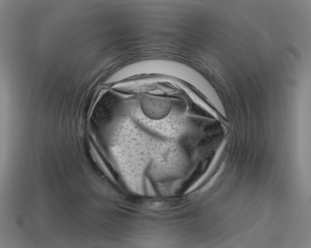 X0000114430174200911061650