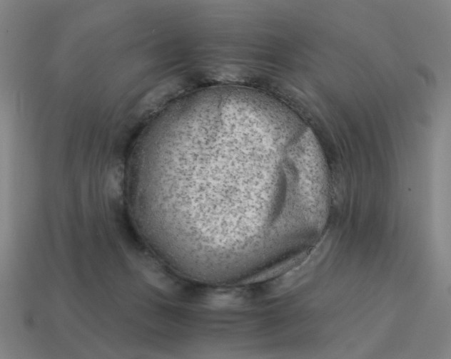 X0000114430175200911061650