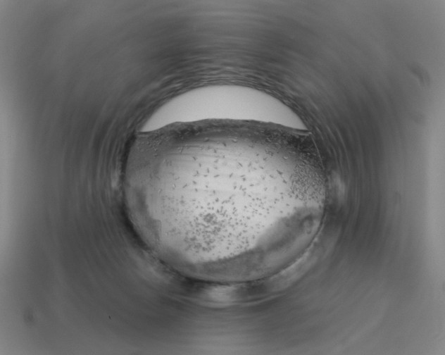 X0000114430178200911061650