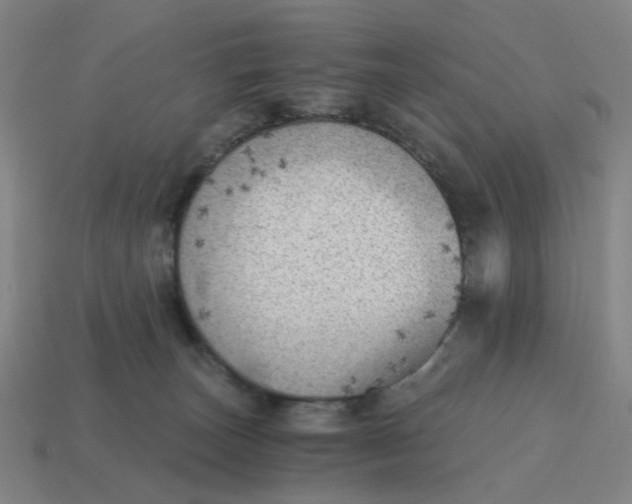 X0000114430179200911061650