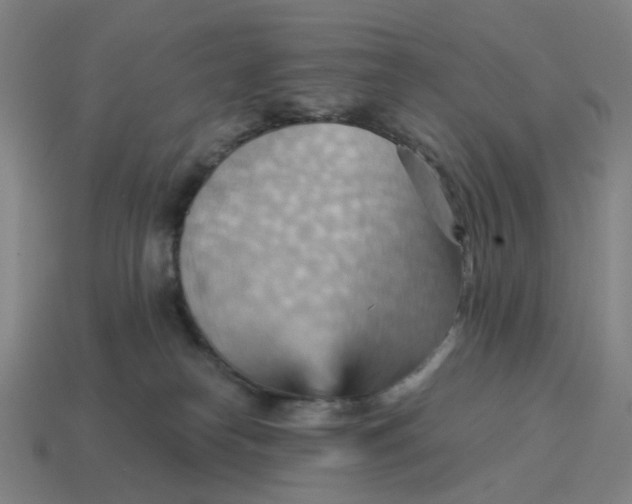 X0000114430182200911061650