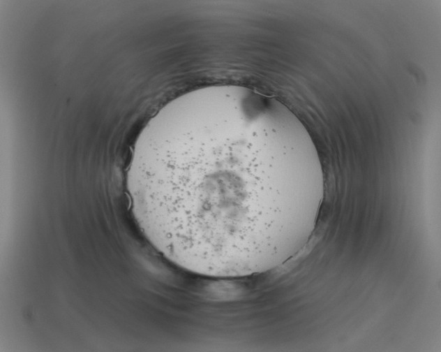 X0000114430183200911061650