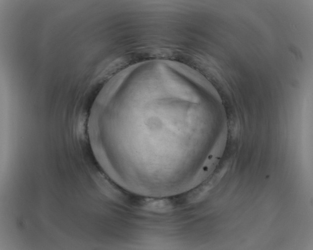 X0000114430185200911061650