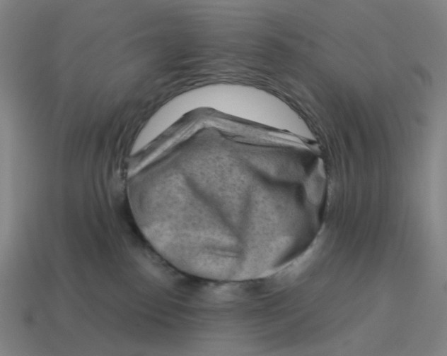 X0000114430186200911061650