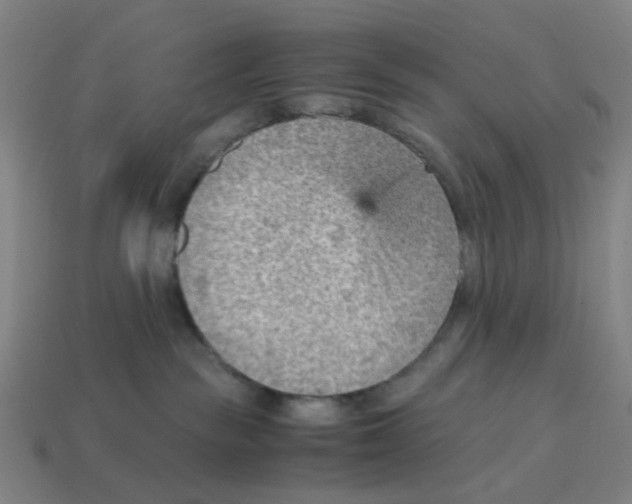 X0000114430189200911061651