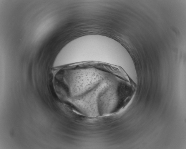 X0000114430190200911061651