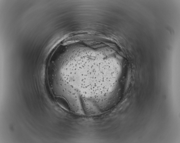 X0000114430194200911061650