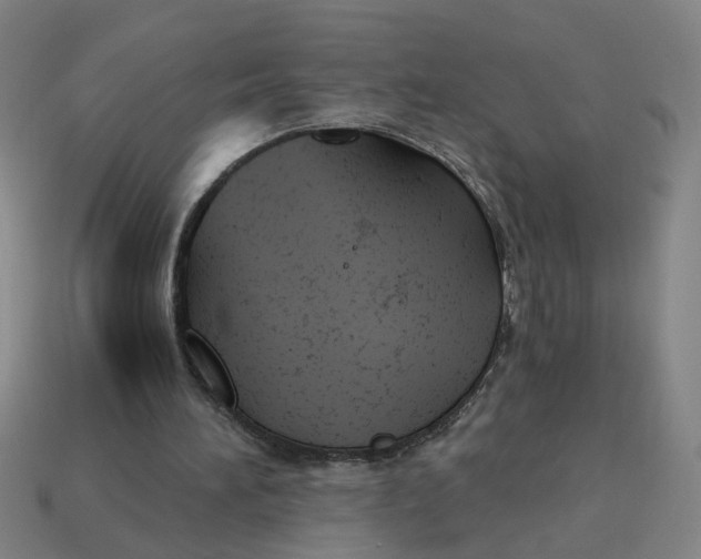 X0000114430196200911061650