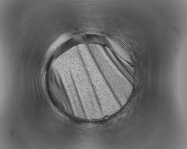 X0000114430197200911061650