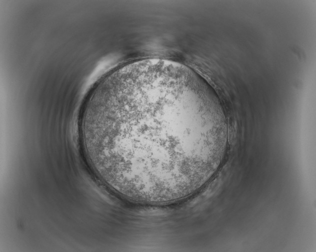 X0000114430198200911061650