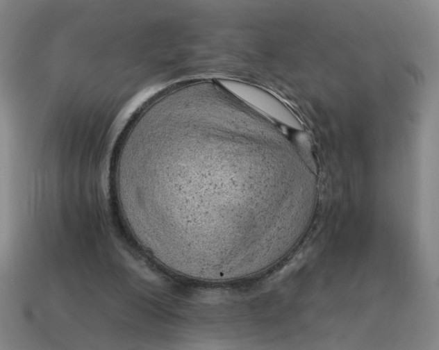 X0000114430200200911061650