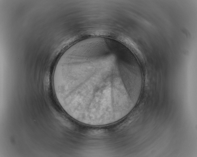 X0000114430202200911061650