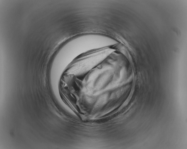 X0000114430203200911061650