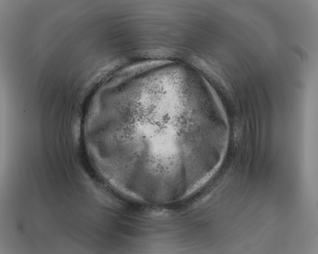 X0000114430206200911061650