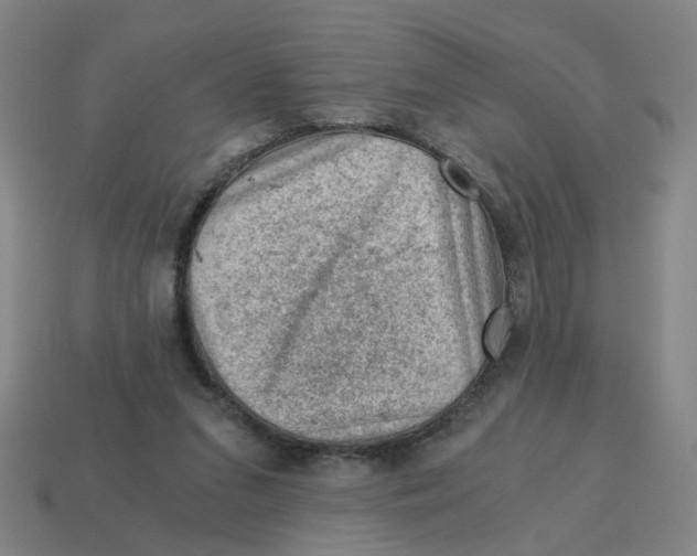 X0000114430207200911061650