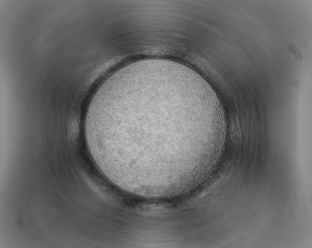 X0000114430208200911061650