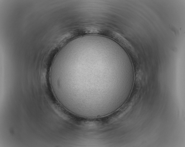 X0000114430209200911061650