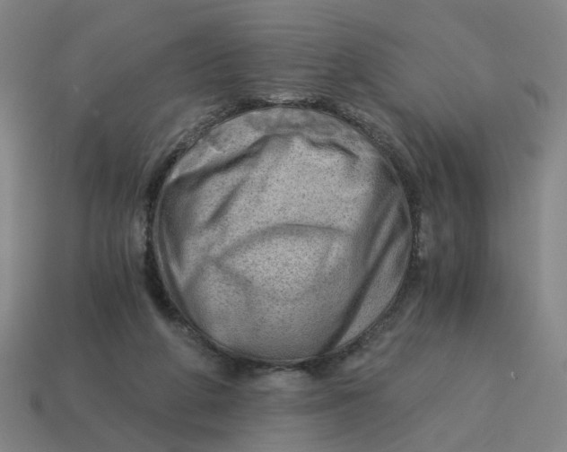 X0000114430210200911061650