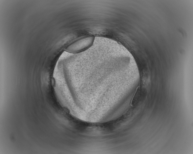 X0000114430211200911061650