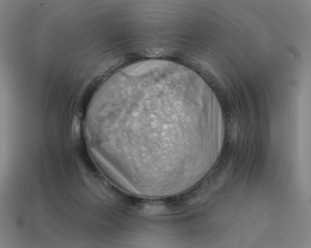 X0000114430214200911061649