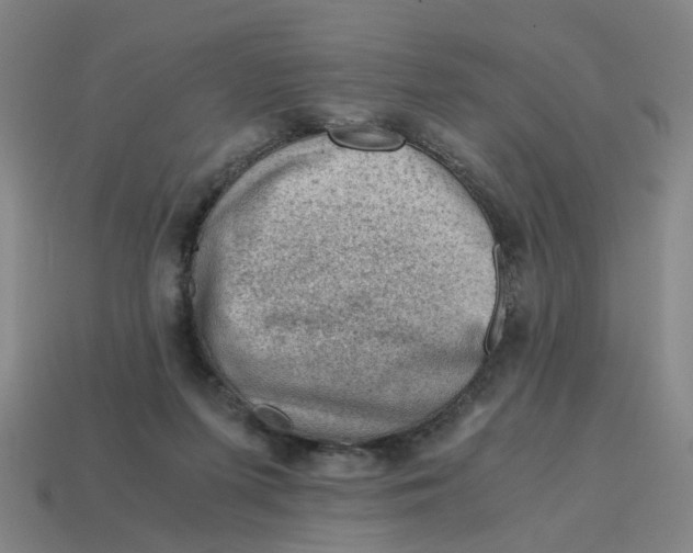 X0000114430215200911061649