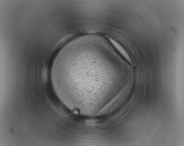 X0000114430216200911061649