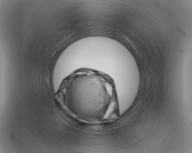 X0000114430217200911061649