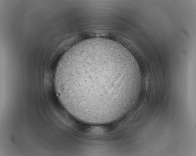 X0000114430218200911061649