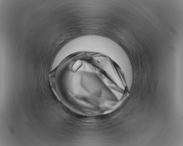 X0000114430219200911061649