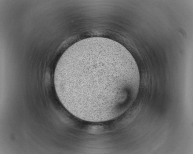X0000114430220200911061649