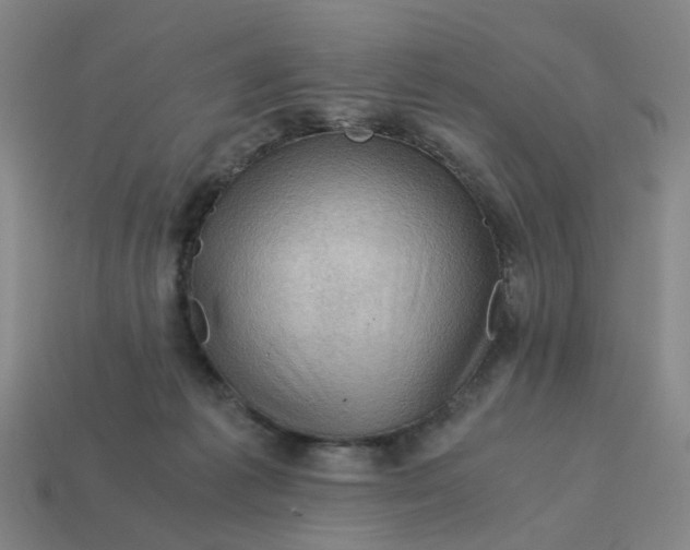 X0000114430221200911061649