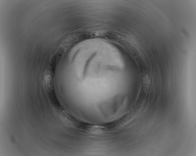 X0000114430222200911061649