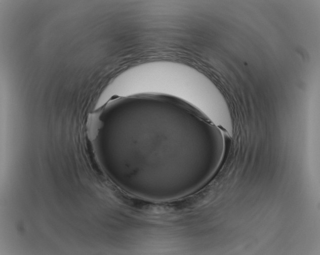 X0000114430223200911061649