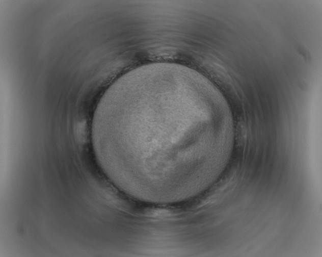 X0000114430224200911061649
